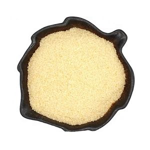 Hot Sale Edible Gelatin Powder 250bloom halal grade